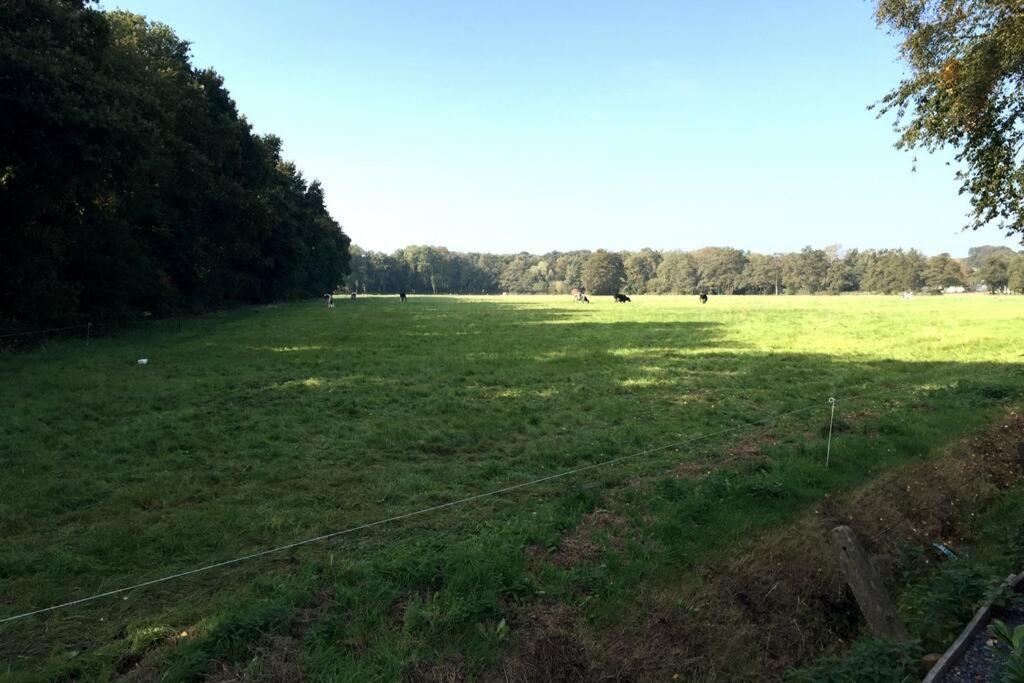 Villa Natuurhuisje Veluwe Met Houtkachel En Pizzaoven Ermelo Exterior foto